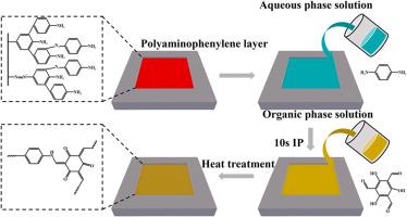 Rapid preparation of extremely highly permeable covalent organic polymers nanofiltration membranes for alcohol recovery via interfacial polymerization