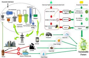 Graphing the Green route: Enzymatic hydrolysis in sustainable decomposition