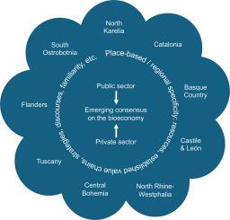 Shaping the bioeconomy: Public and private sector perceptions across European regions