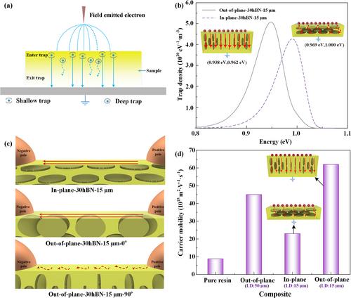 Enhanced surface flashover performance of oriented hexagonal boron nitride composites via anisotropic charge transportation