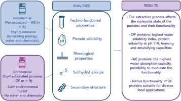 Techno-functional, rheological, and chemical properties of plant-based protein ingredients obtained with dry fractionation and wet extraction