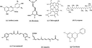 Exploring sources, extraction techniques and food applications: a review on biocolors as next-generation colorants