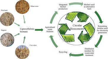 Harnessing rice husks: Bioethanol production for sustainable future