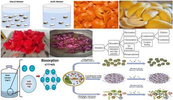 Development and applications of different types of green biosorbents for eliminations of hardness from water: A review on treatment, kinetics mechanism and future scope