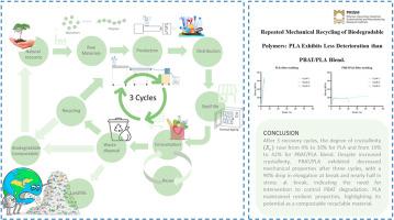 Repeated mechanical recycling of biodegradable polymers: PLA exhibits less deterioration than PBAT/PLA blend