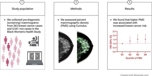 Mammographic density and breast cancer risk among Black American women