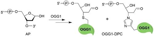 Abstract Image