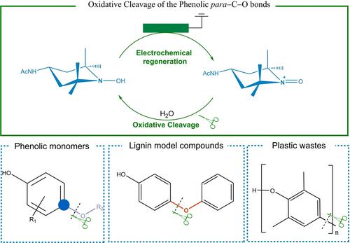 Oxidative Cleavage of Aromatic C−O Linkages by Oxoammonium Salts