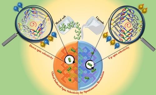 Dual Signature of Chirality Induced Spin Selectivity through Spontaneous Resolution of 2D Metal–Organic Frameworks