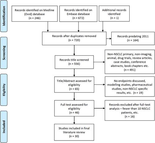 Optimising hypoxia PET imaging and its applications in guiding targeted radiation therapy for non-small cell lung cancer: a scoping review