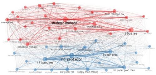 Exploring the link between risk management and performance of MSMEs: A bibliometric review