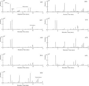 Impact of PVC Pyrolysis on Gasoline Identification in Fire Debris Analysis