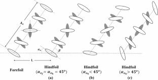 Computational study on the effect of initial pitch angle on dragonfly hovering performance