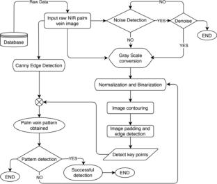 Visualizing NIR Vein Patterns Using Supervised and Unsupervised Methods