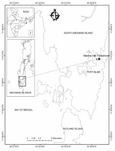 Infestation of Isopod Parasites Renocila bijui (Crustacea: Isopoda: Cymothoidae) in Two New Host Fish Species from Andaman