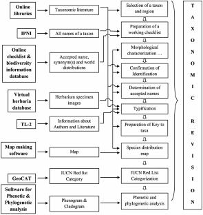 Cybertaxonomy to Overcome Taxonomic Impediments: A Discussion in the Context of Plants of India