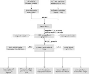 Neutrophil-related Signature Characterizes Immune Landscape and Predicts Prognosis of Invasive Breast Cancer