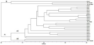 Generation of denovo EST-SSRs and Validation in Newly Developed Interspecific Citrus Hybrids (Citrus maxima Merr. × Citrus sinensis (L.) Osbeck)
