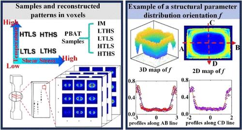 Gradient Nanostructure and its Relationship with the Mechanical Properties of Injection-Molded PBAT Studied Using SAXS-CT