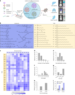 Combinatorial design of siloxane-incorporated lipid nanoparticles augments intracellular processing for tissue-specific mRNA therapeutic delivery