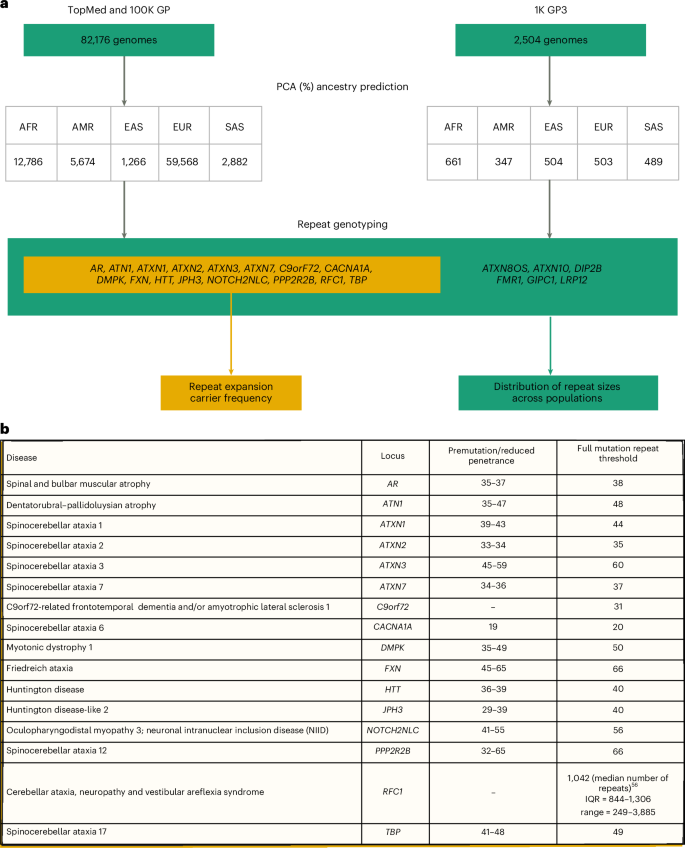 Increased frequency of repeat expansion mutations across different populations