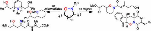 Hydroxylamines: From Synthetic Intermediates to Synthetic Targets