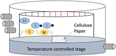 Surface modification of paper-based microfluidic devices via initiated chemical vapor deposition