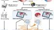 Deep learning segmentation model for quantification of infarct size in pigs with myocardial ischemia/reperfusion