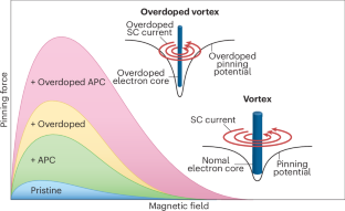 Pin the vortex on the superconductor