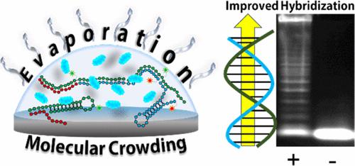 Mimicking a Cellular Crowding Environment for Enzyme-Free Paper-Based Nucleic Acid Tests at the Point of Care