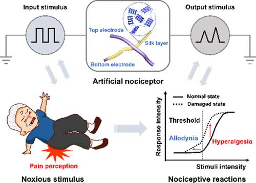 Bioinspired Artificial Intelligent Nociceptive Alarm System Based on Fibrous Biomemristors