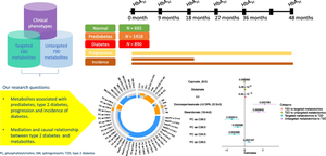 Role of human plasma metabolites in prediabetes and type 2 diabetes from the IMI-DIRECT study.