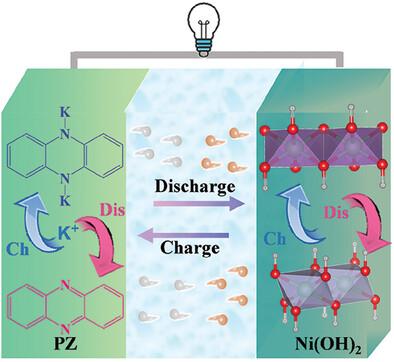 Ampere-Hour-Scale Aqueous Nickel–Organic Batteries based on Phenazine Anode