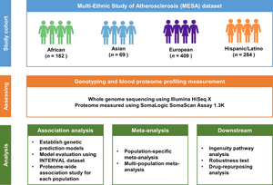 Identification of proteins associated with type 2 diabetes risk in diverse racial and ethnic populations.