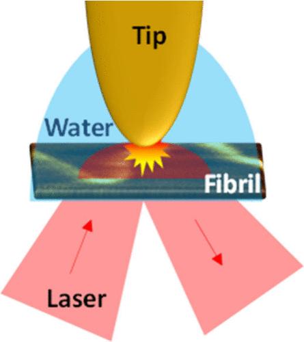 Nanoscale Chemical Imaging of Amyloid Fibrils in Water Using Total-Internal-Reflection Tip-Enhanced Raman Spectroscopy.