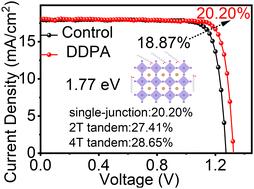 Efficient 1.77 eV-bandgap perovskite and all-perovskite tandem solar cells enabled by long-alkyl phosphonic acid