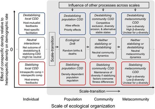 Consequences of Local Conspecific Density Effects for Plant Diversity and Community Dynamics