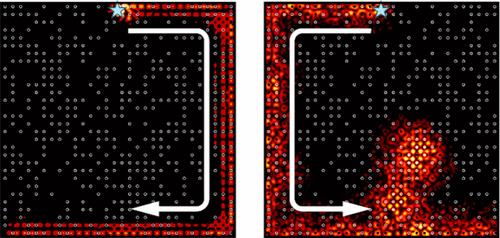 Coexistence of Chiral Edge and Localized States in a High Chern Number Topological Photonic Alloy