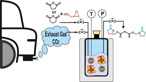 A Green Chemo-Enzymatic Approach for CO2 Capture and Transformation into Bis(cyclic carbonate) Esters in Solvent-Free Media