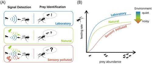 Decoding Information Flow and Sensory Pollution: A Systematic Framework for Understanding Species Interactions