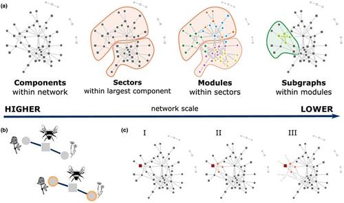 The Hierarchical Coevolutionary Units of Ecological Networks