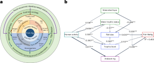 Impact of human activities on fish mercury concentrations