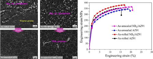 Effect of hard-plate rolling and annealing treatment on the microstructure and mechanical properties of NbB2 particle-reinforced AZ91 composite