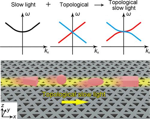 Topological Slow Light Enabled Huge Optical Force Enhancement