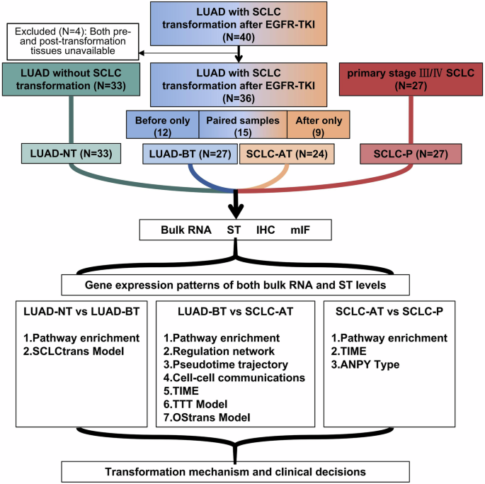 Mechanism exploration and model construction for small cell transformation in EGFR-mutant lung adenocarcinomas.