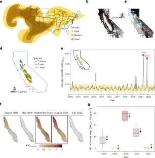 Megafire smoke exposure jeopardizes tree carbohydrate reserves and yield