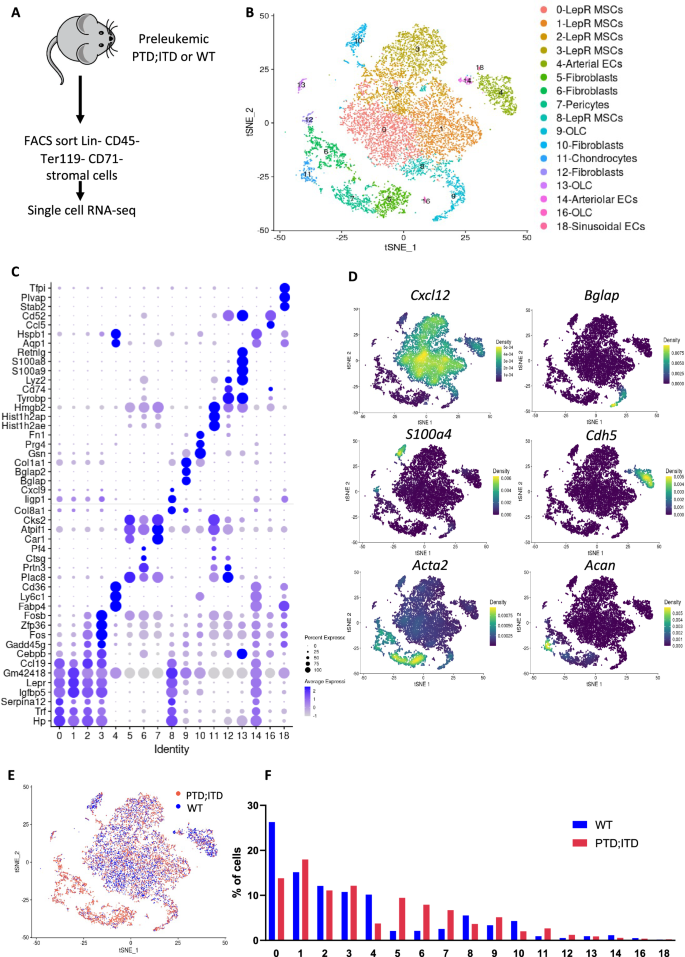 Cellular taxonomy of the preleukemic bone marrow niche of acute myeloid leukemia