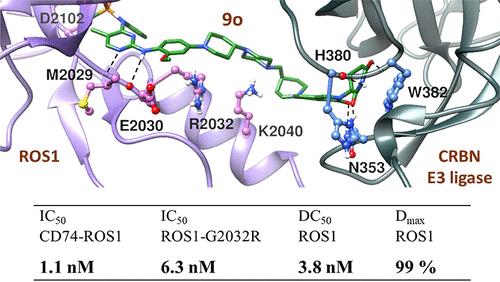 Discovery of Oral Degraders of the ROS1 Fusion Protein with Potent Activity against Secondary Resistance Mutations.