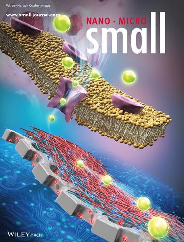 Ultrathin Ionic Diodes with Electrostatically Heterogeneous Hybrid Interfaces of Nanoporous SiO2 Nanofilms and Polymer Layer-by-Layer Multilayers (Small 40/2024)