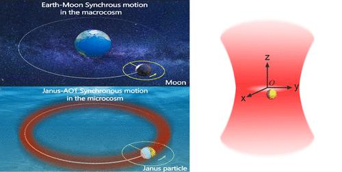 Observation of Moon-like Synchronous Revolution and Rotation of Janus Microparticles Trapped in an Annular Optical Trap